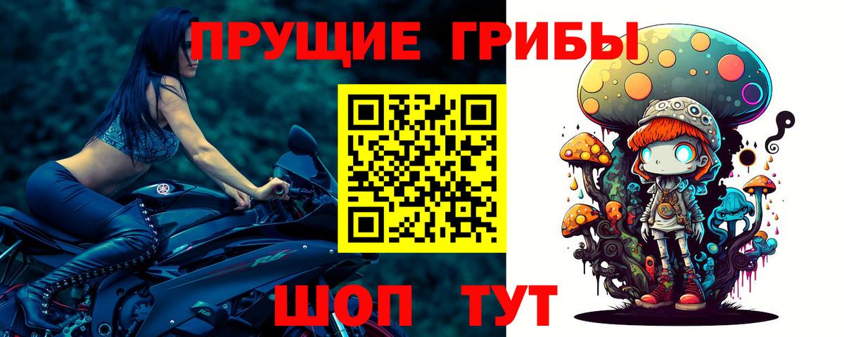 Псилоцибиновые грибы GOLDEN TEACHER Ханты-Мансийск